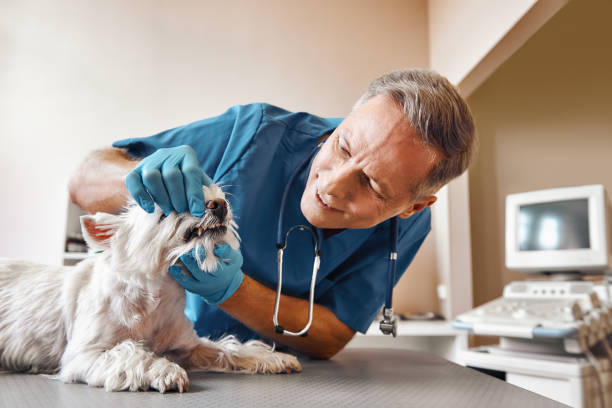 Best Emergency Dental Care for Sports Injuries in Antlers, OK